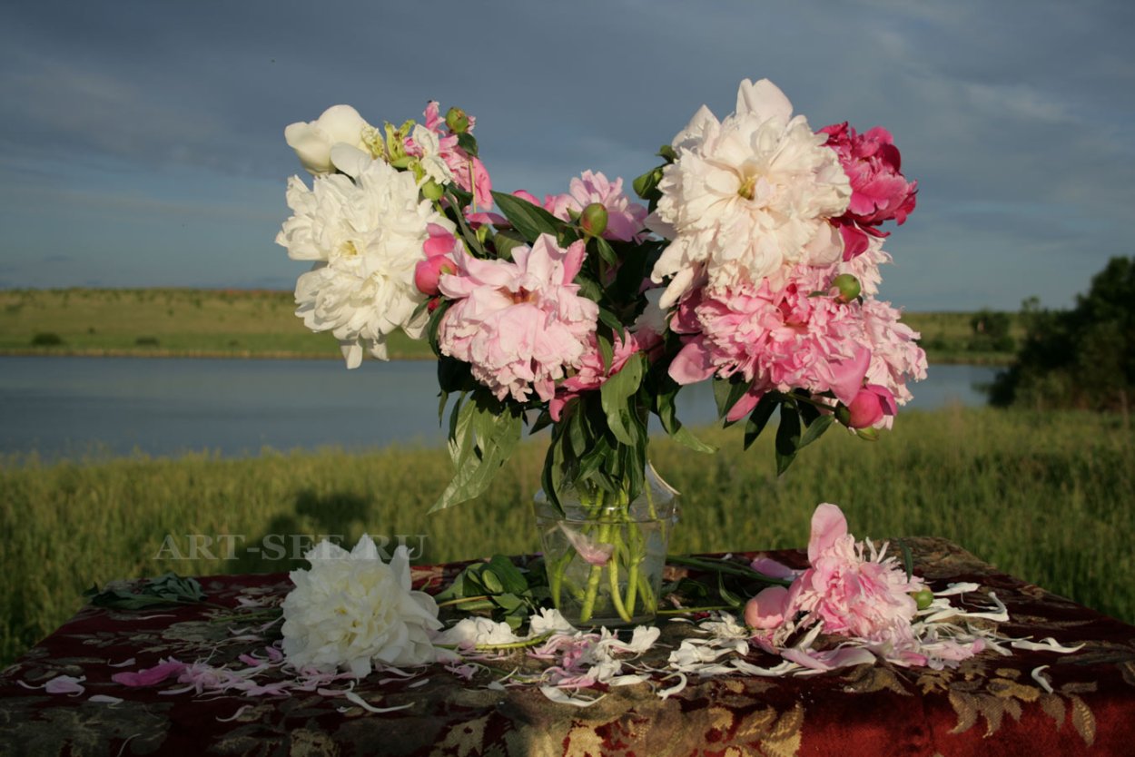 Пионы и полевые цветы