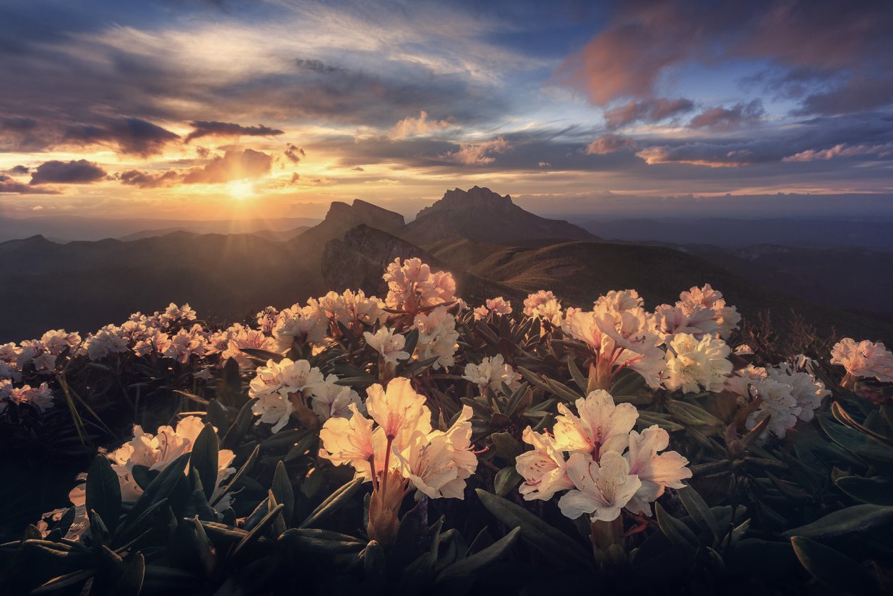 Эстетика природы