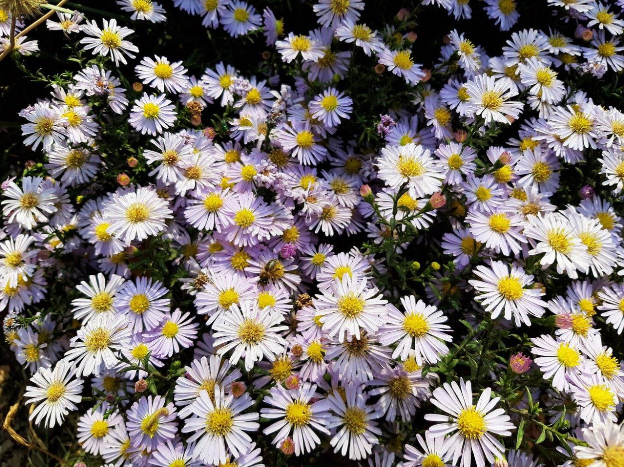 Сентябринки октябринки