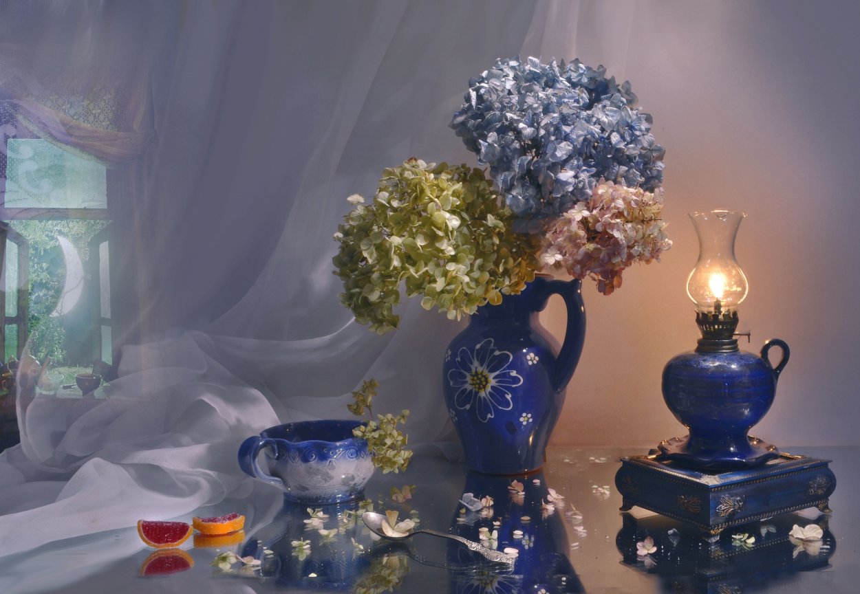 Гортензия Мэджикал Мунлайт