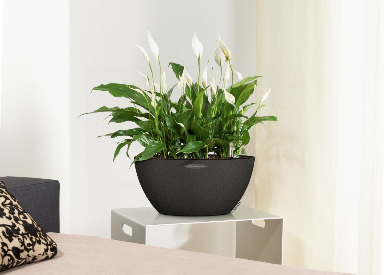 Кашпо Lechuza Cubeto Stone 30