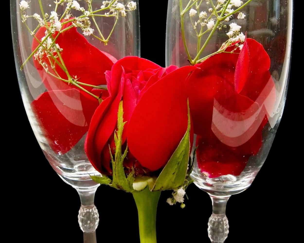 Роза в бокале
