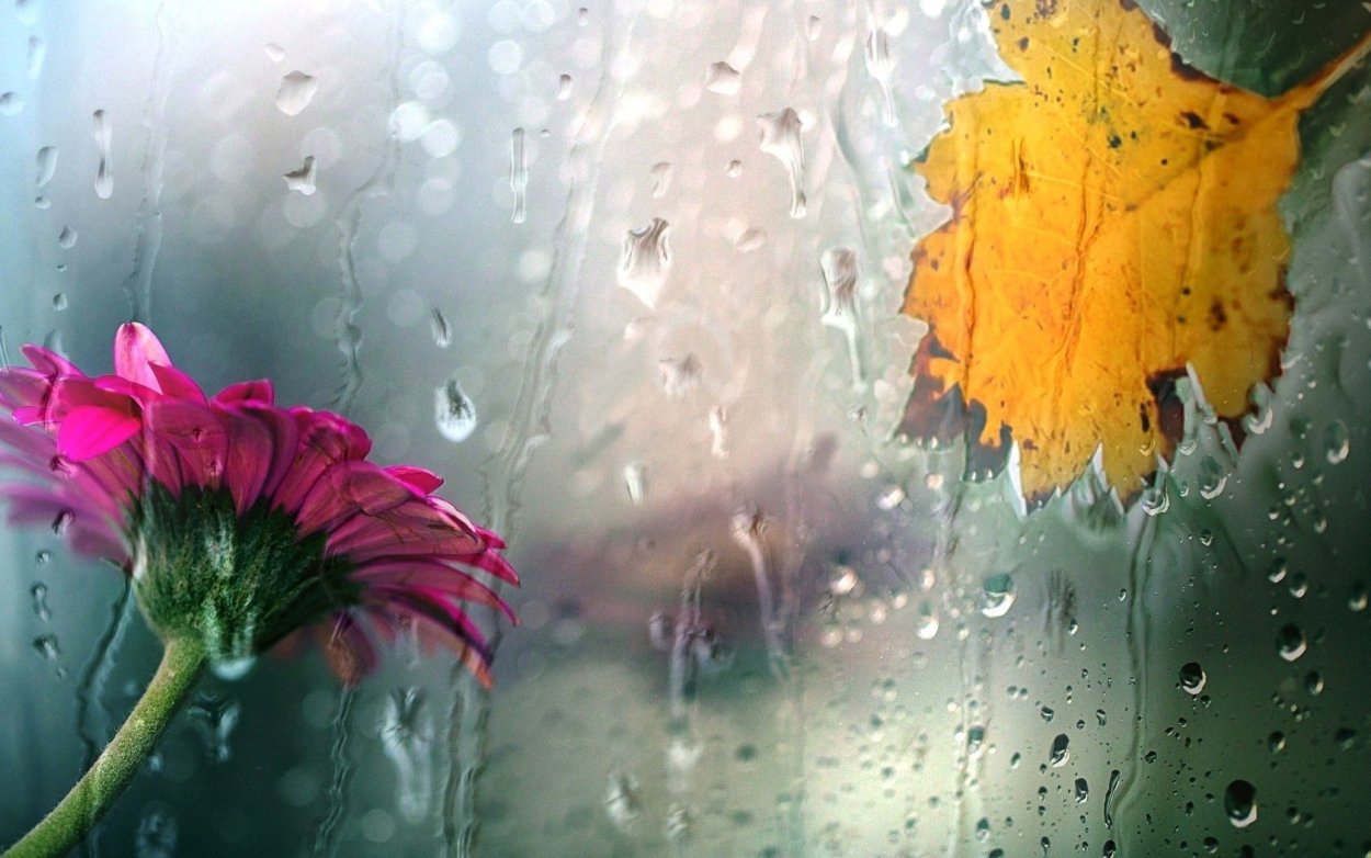 Картинки на рабочий стол дождь