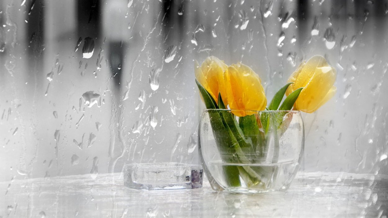 Аниме девушка с зонтом