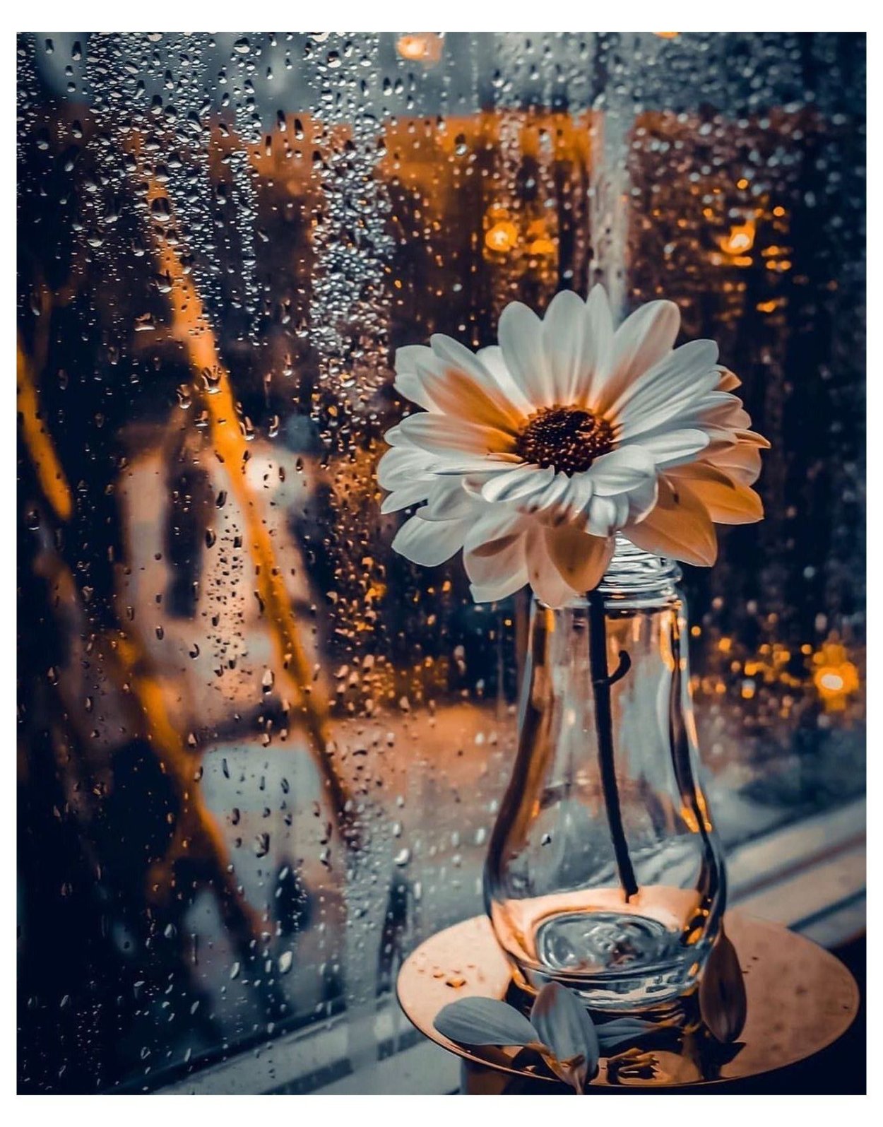 Доброе утро цветы дождь