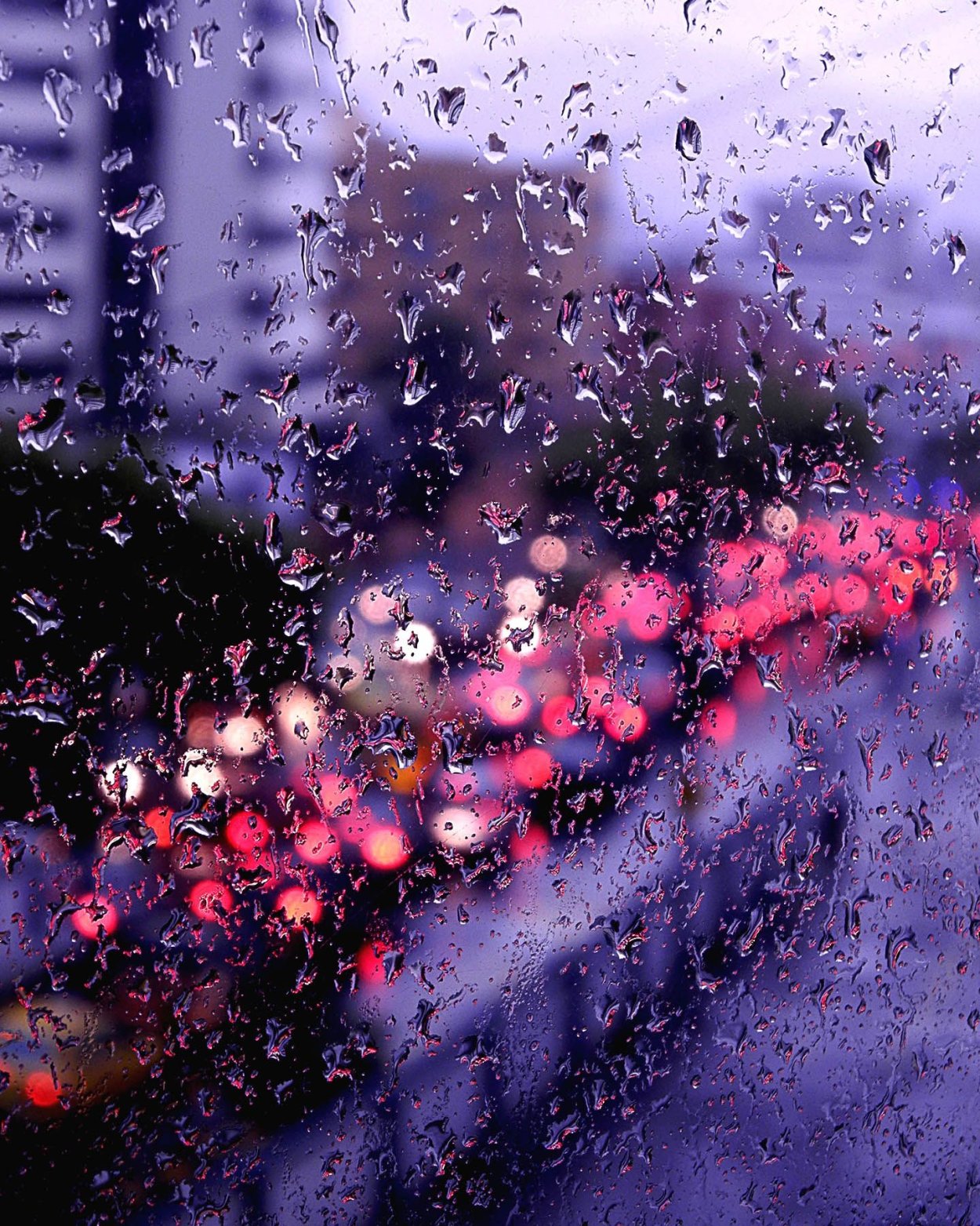 Лето дождь цветы