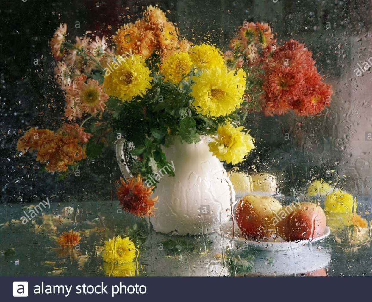 Натюрморты за мокрым стеклом