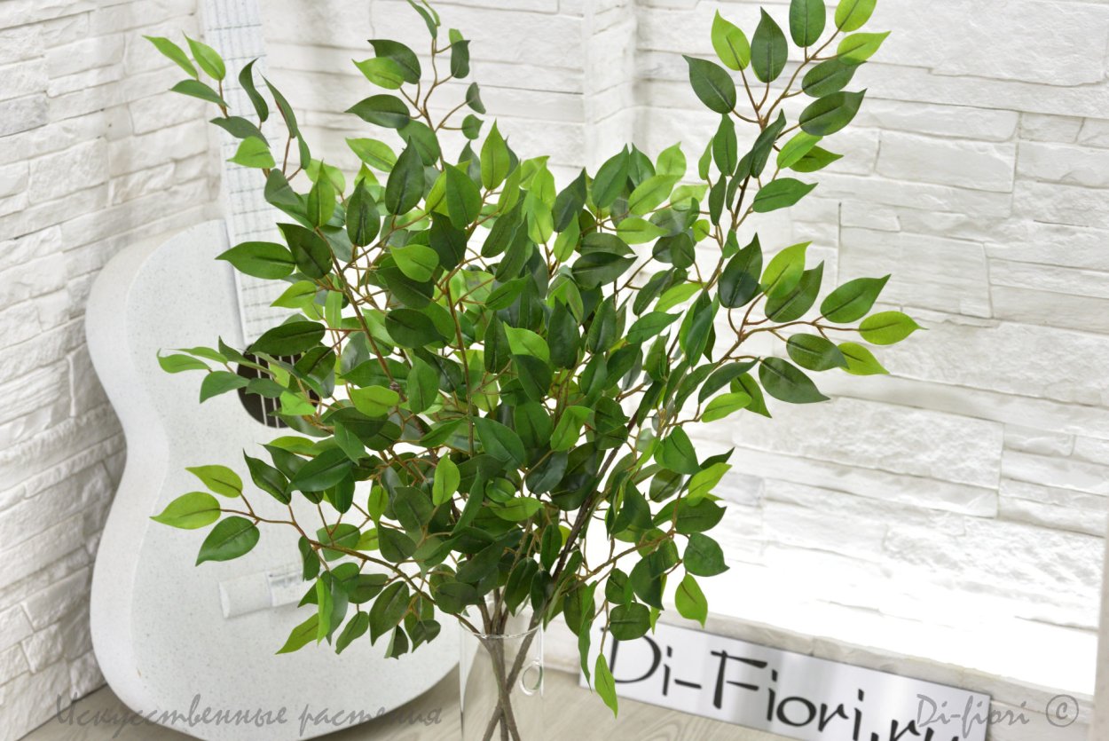 Опадают.листья.Бенджамина фикус Бенджамина