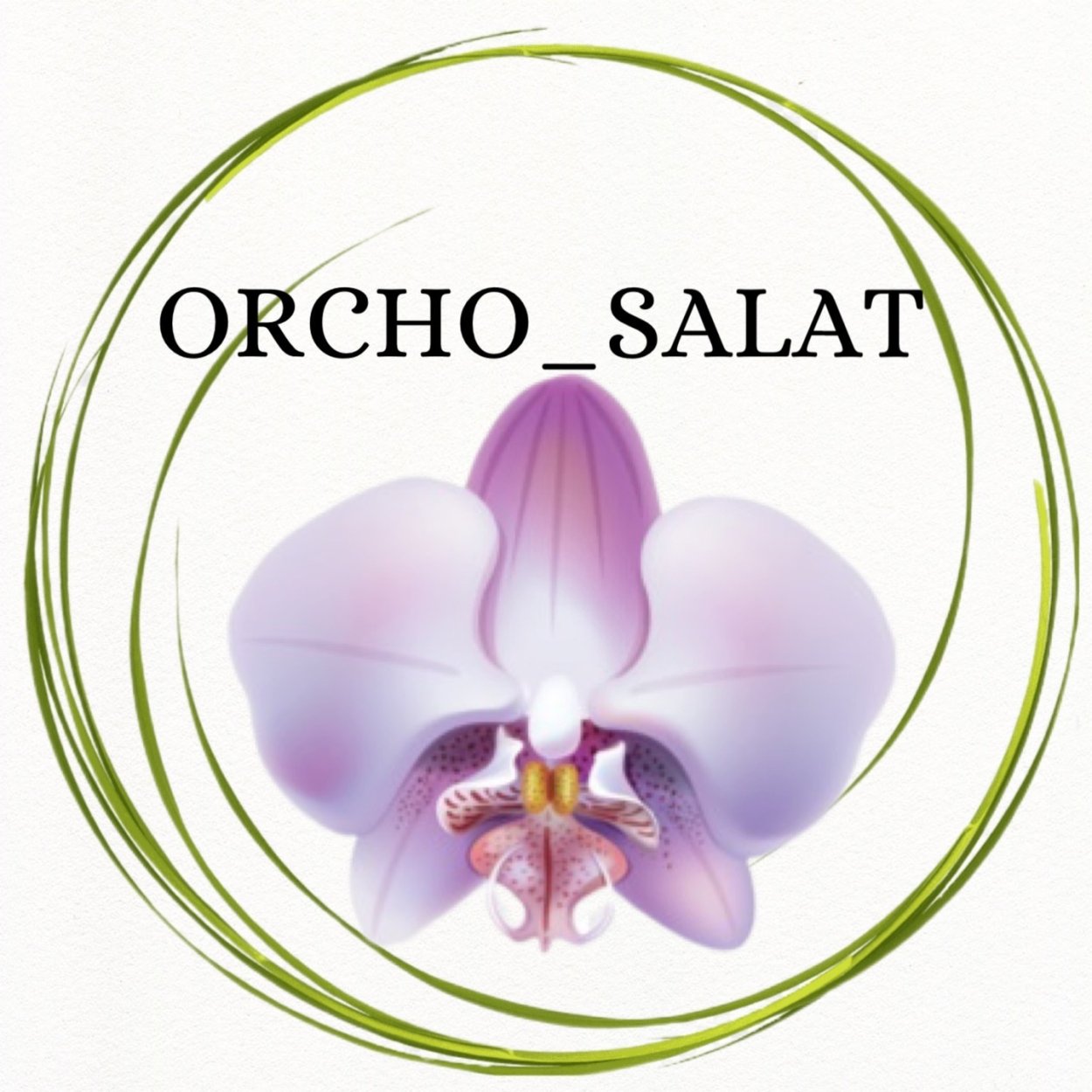 Орхидея фаленопсис сорта