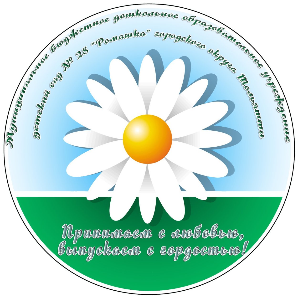 Охапка полевых ромашек