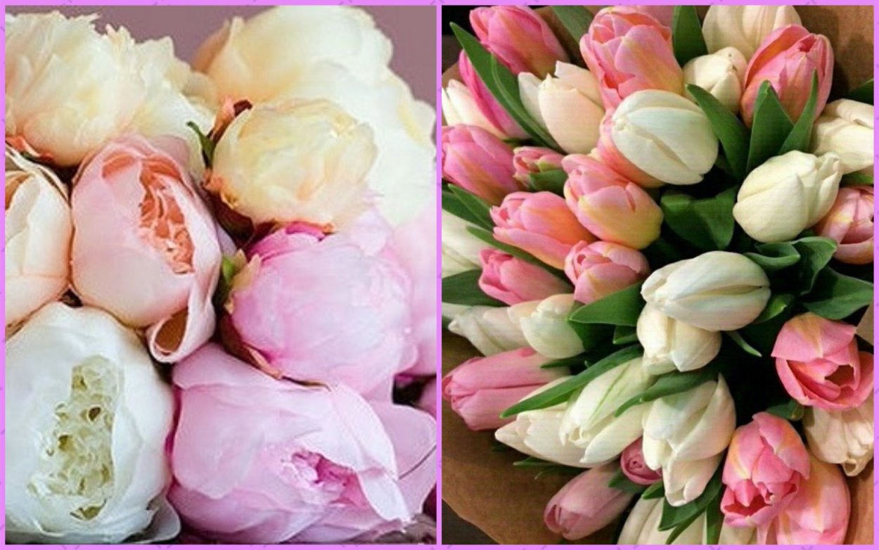 Букет из красных пионовидных роз