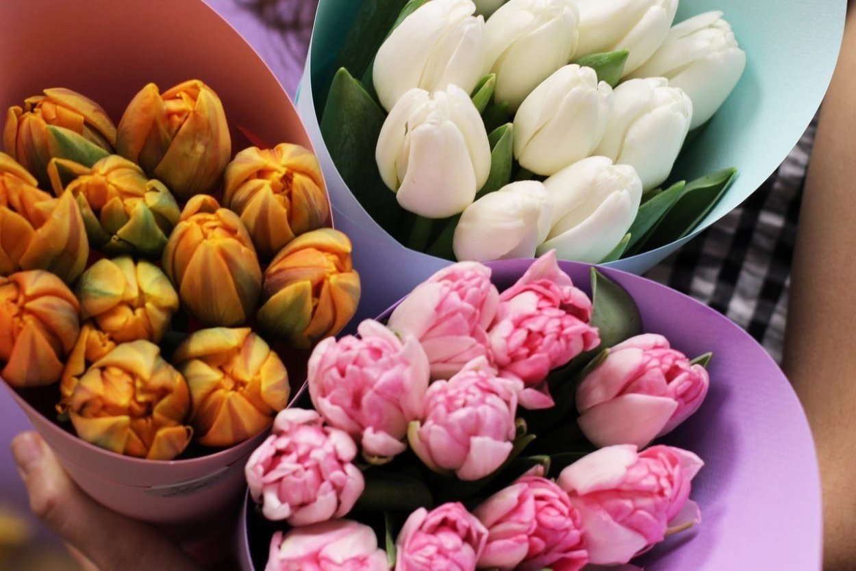 Пионы бутоновидные