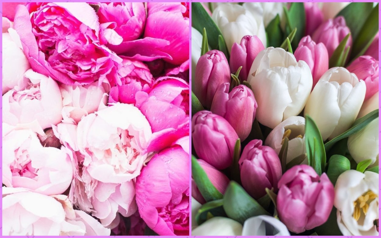 Букет пионов "мороженое"