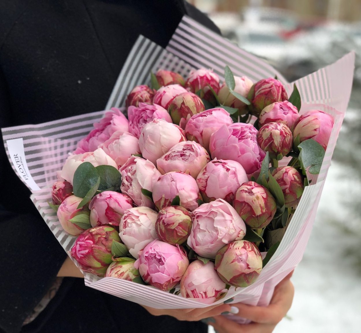 Пионообразные тюльпаны