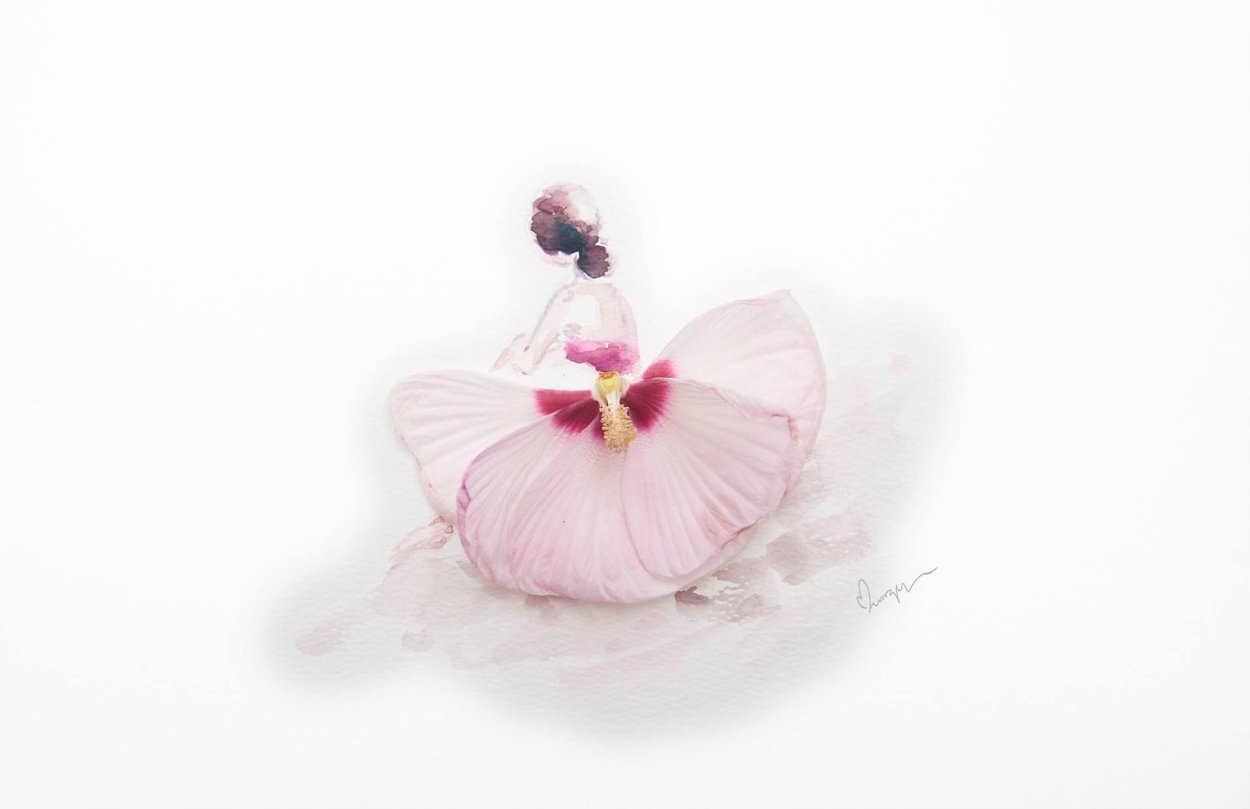 Орхидея манки фейс