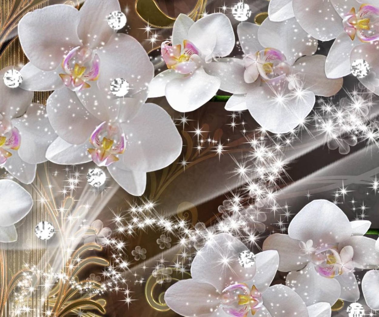 Красивый фон с орхидеями