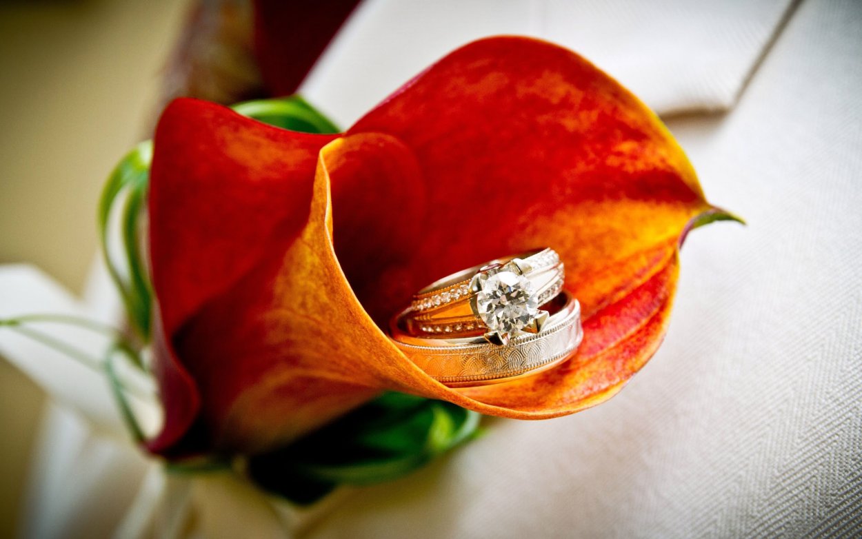 Кольца на фоне цветов