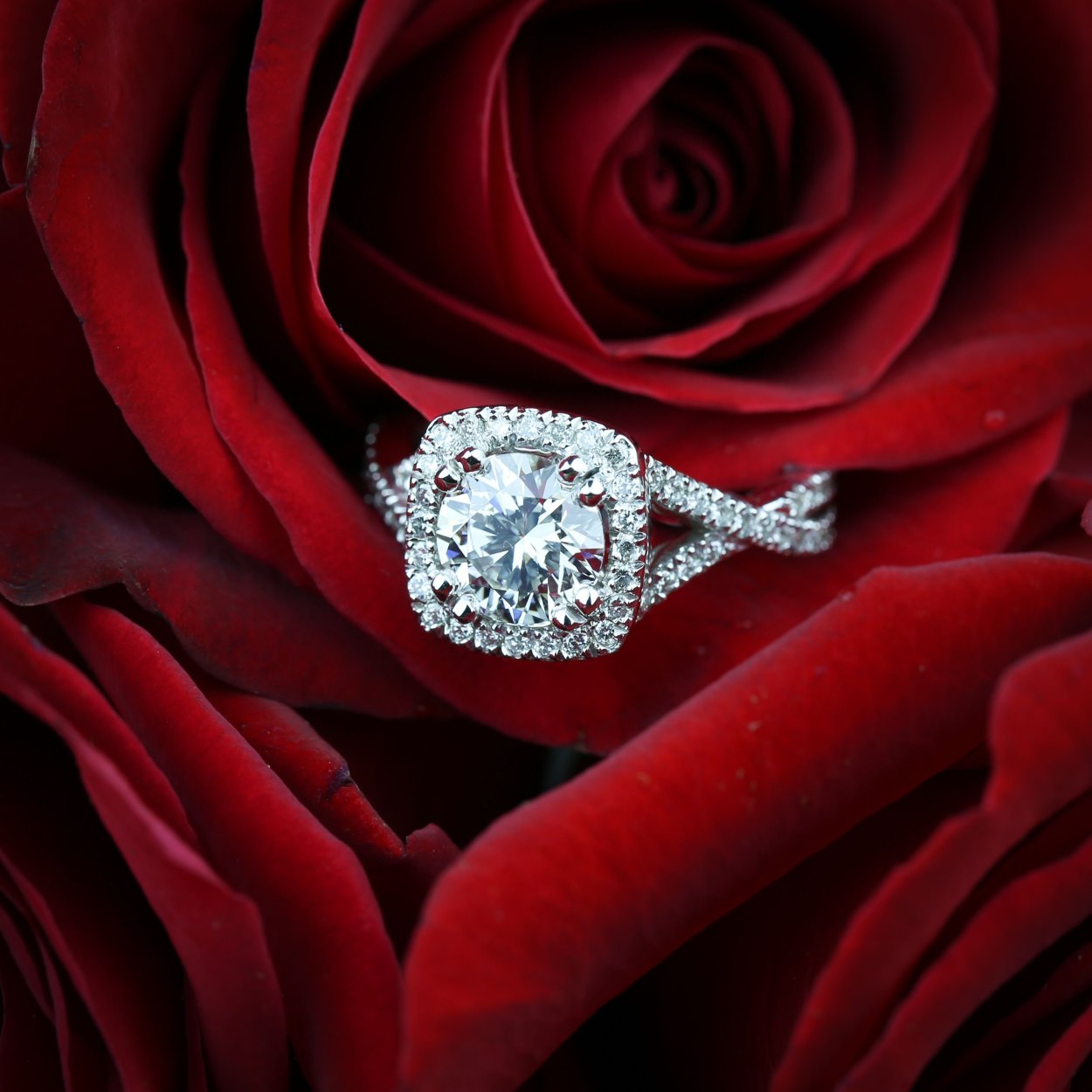 Кольцо роза с бриллиантами