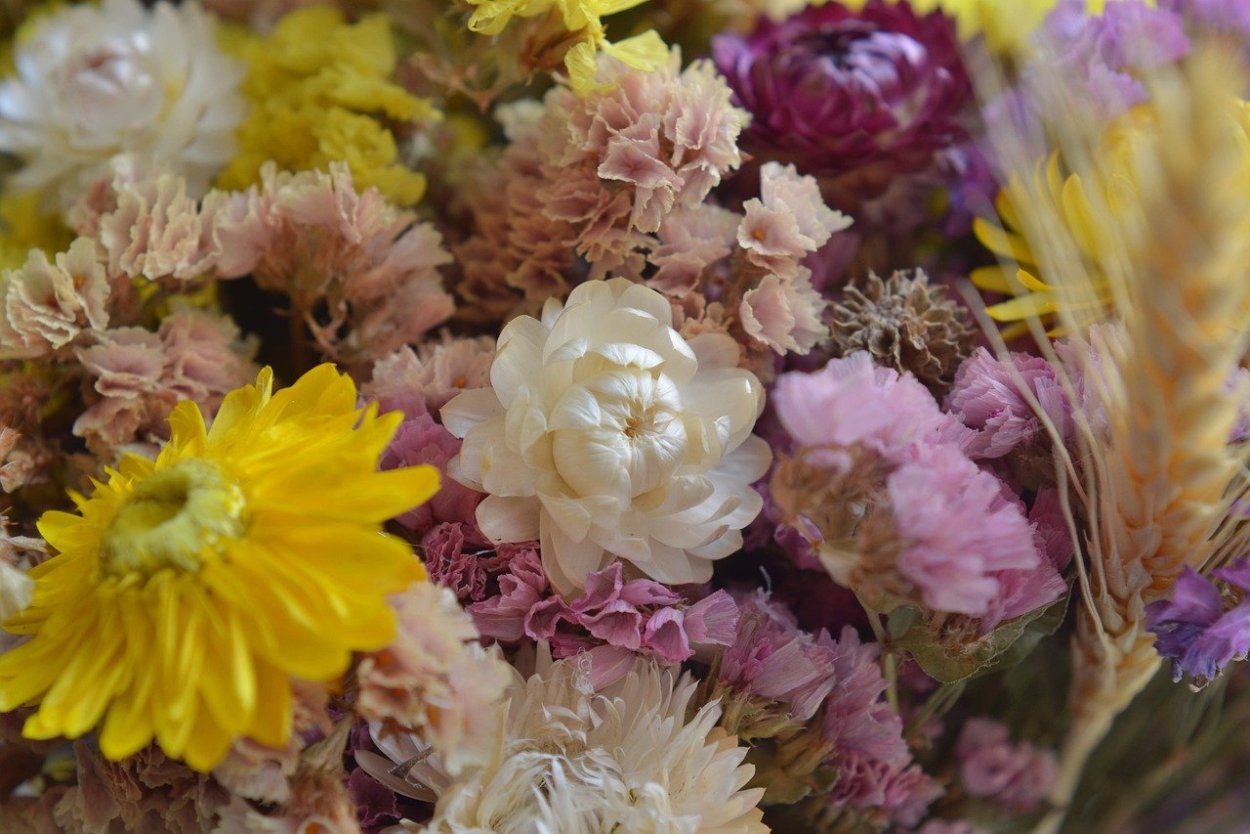 Букет сухоцветов Иммортель