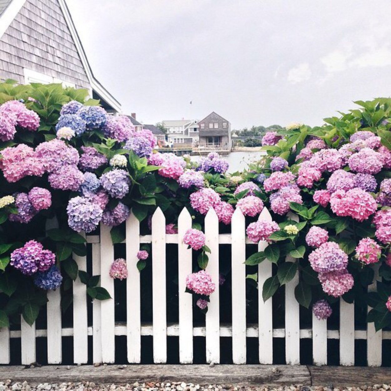 Палисад вдоль забора