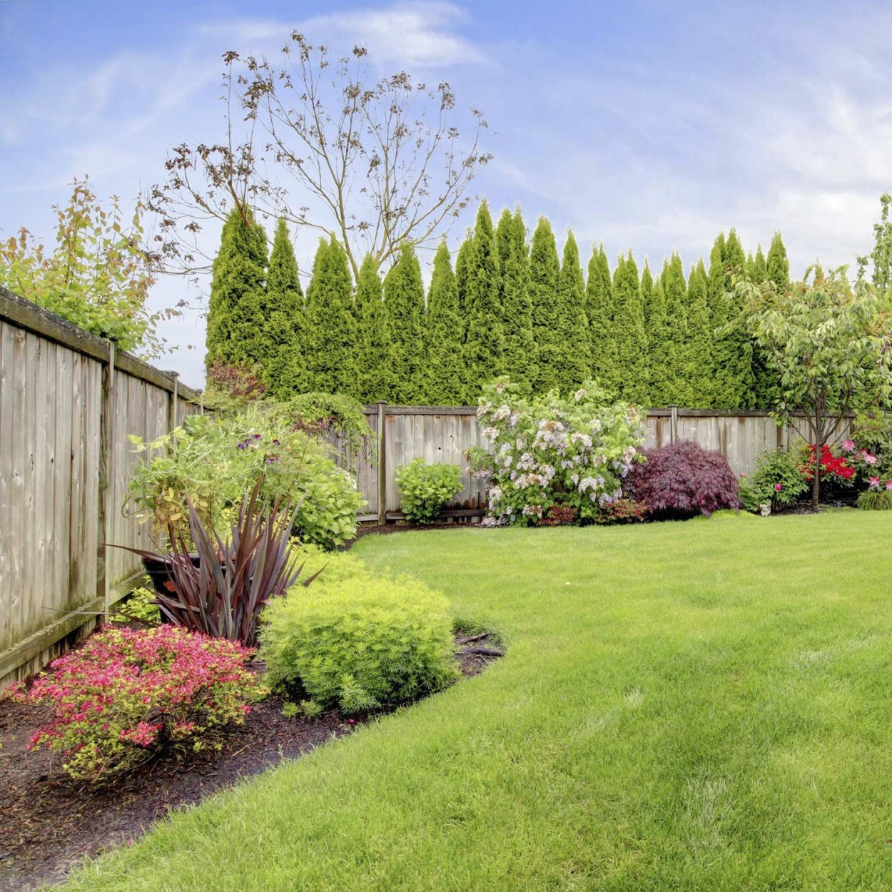 Белый забор и цветы