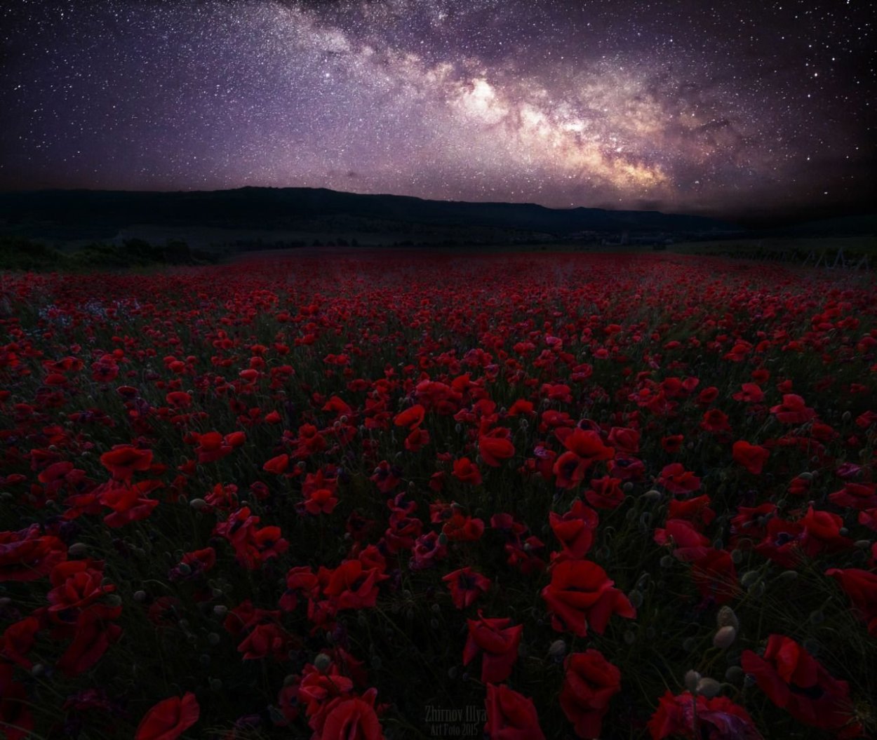 Селфи с цветами