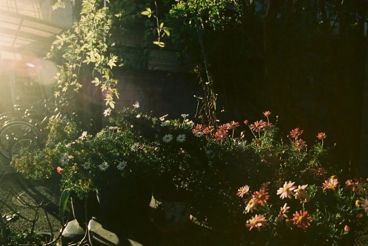 Девушка с розами без лица