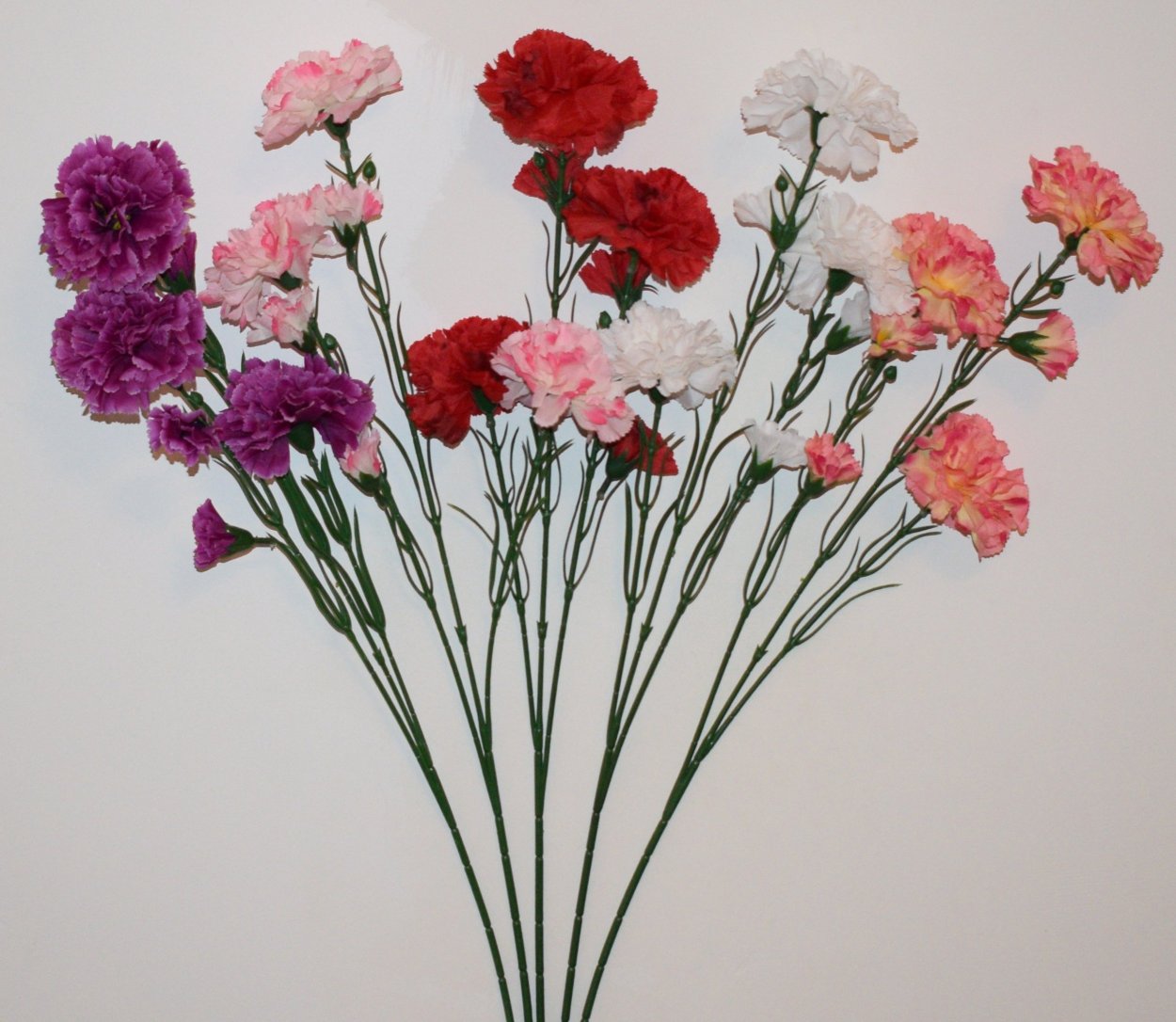 Гвоздика Клеарвотер