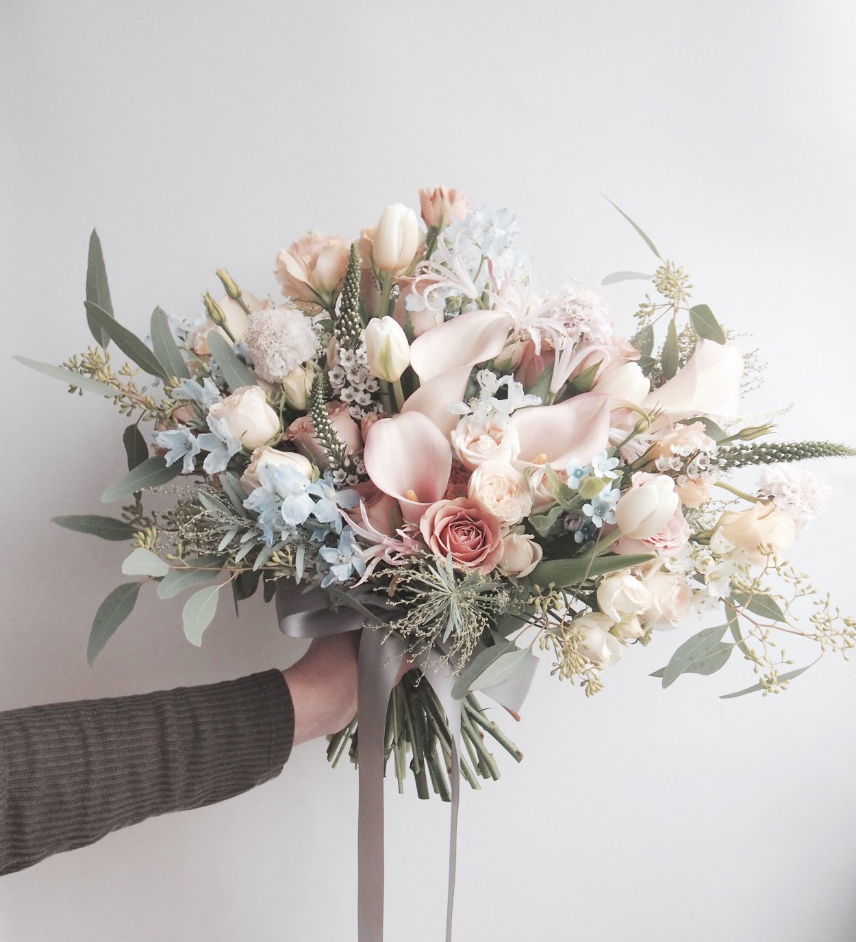 Цинерария симпатия 10шт