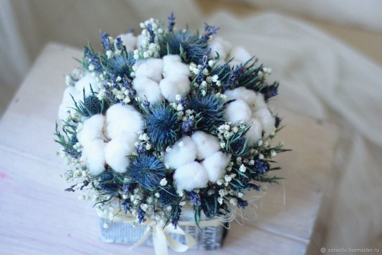 Клумбы бархатцы Сальвия цинерария