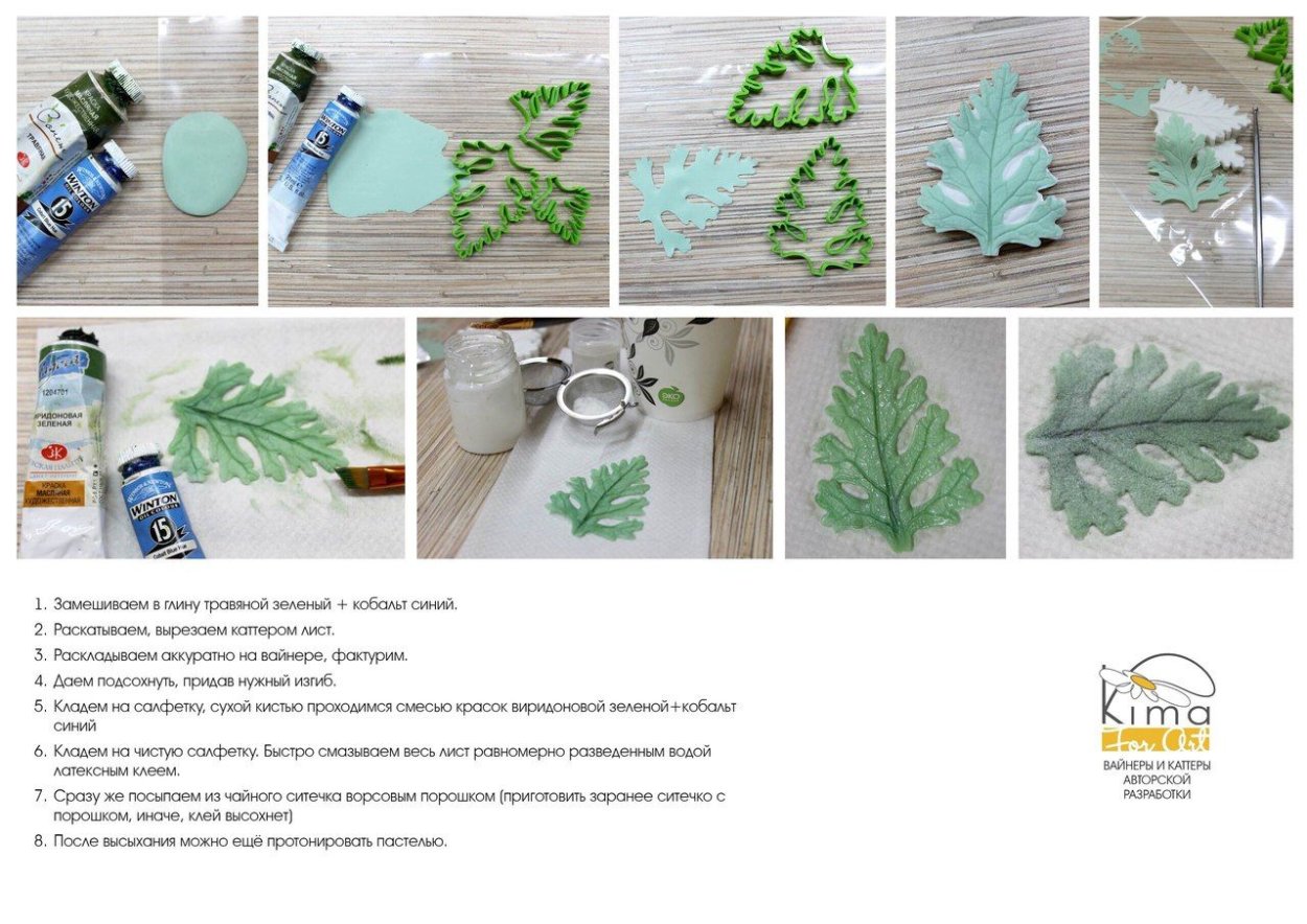 Цинерария Энджел Вингс