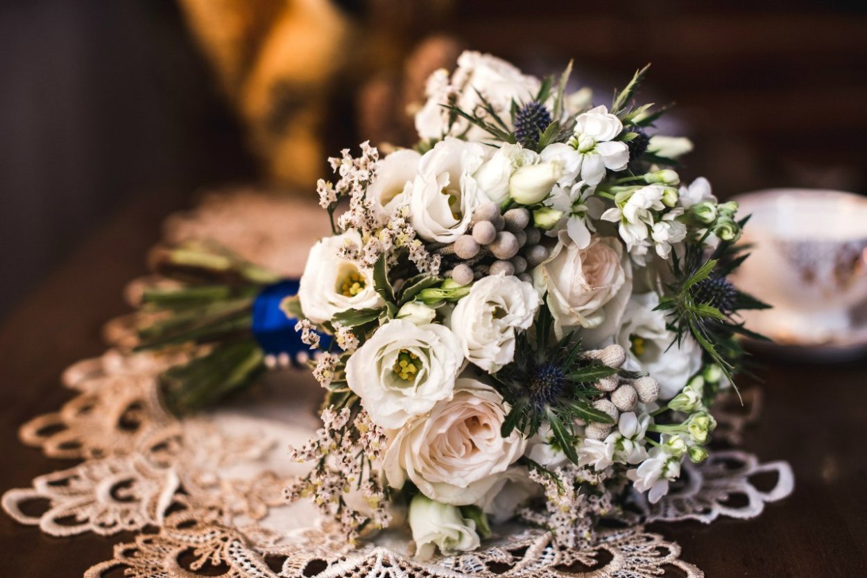 Цинерария Сильвер