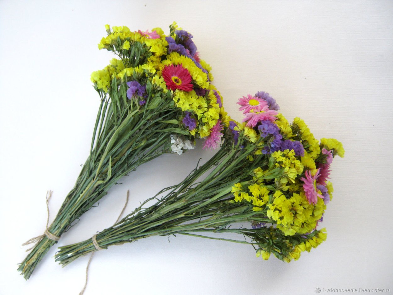 Лимониум Бондуели