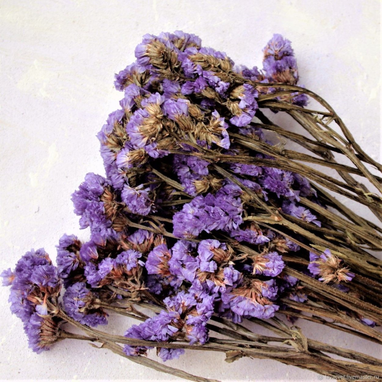 Сухоцветы кермек лимониум