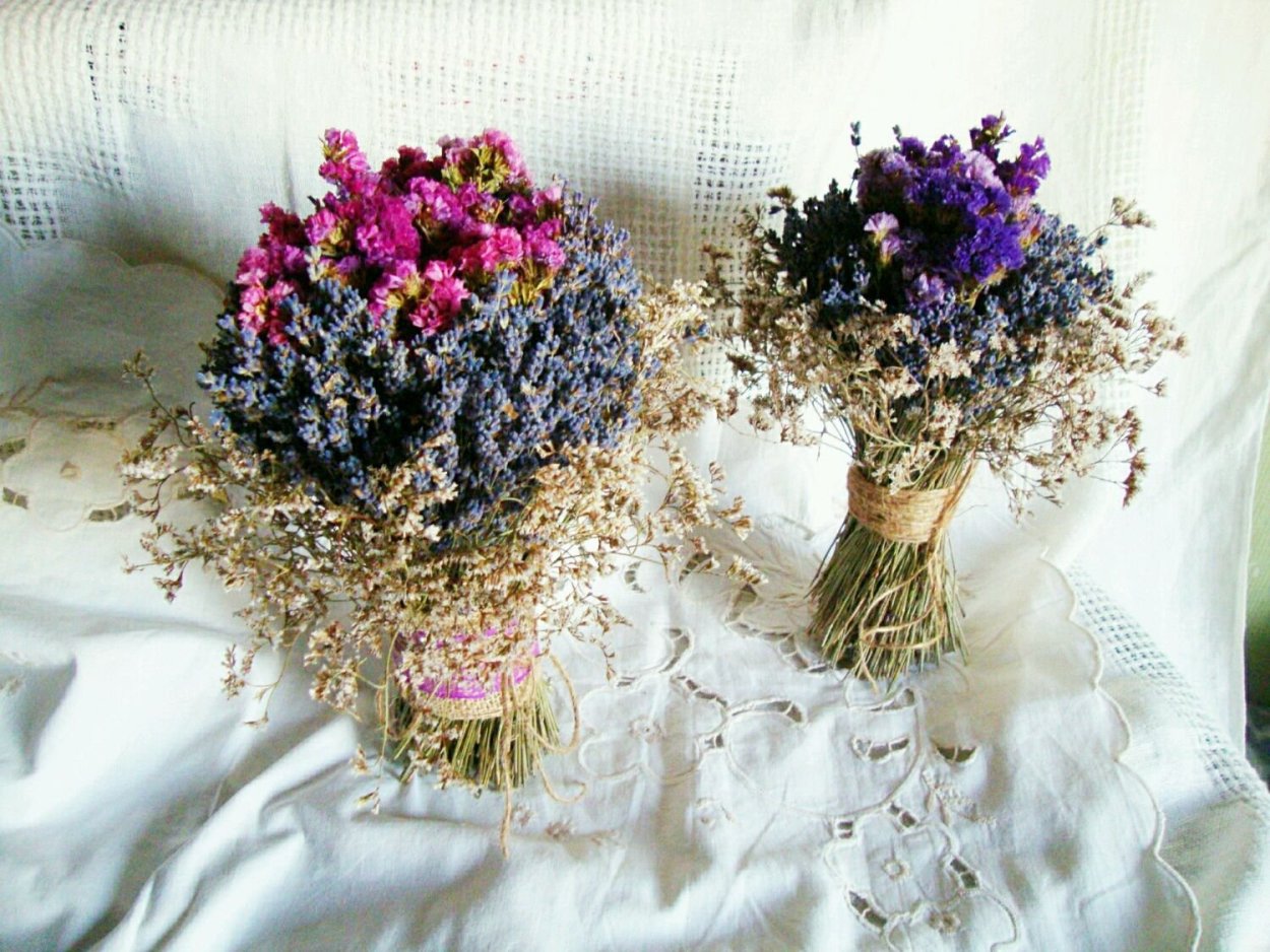 Лиатрис сухоцвет