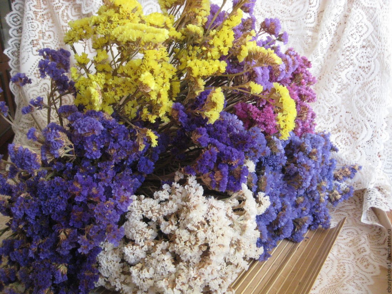 Композиции со статицей