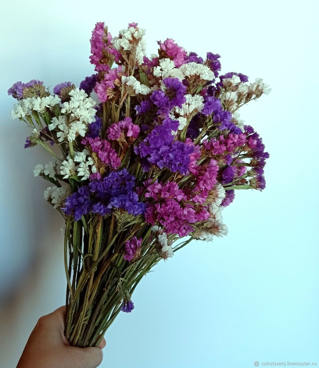 Бриза сухоцвет