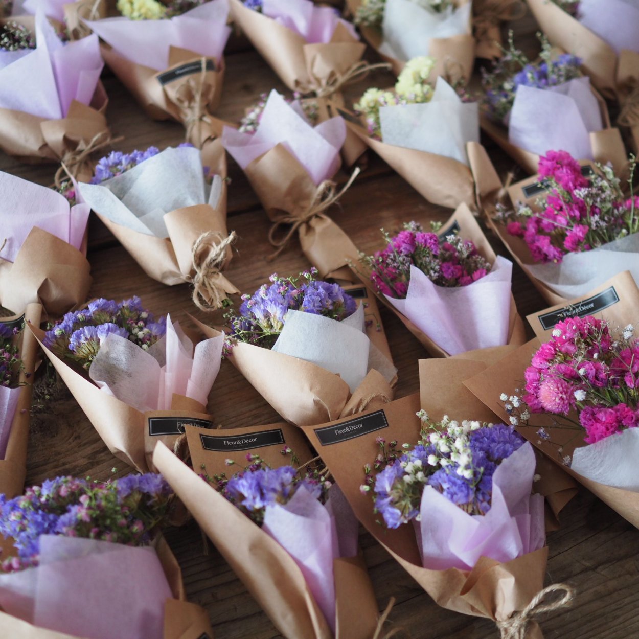 Лиатрис сухоцвет