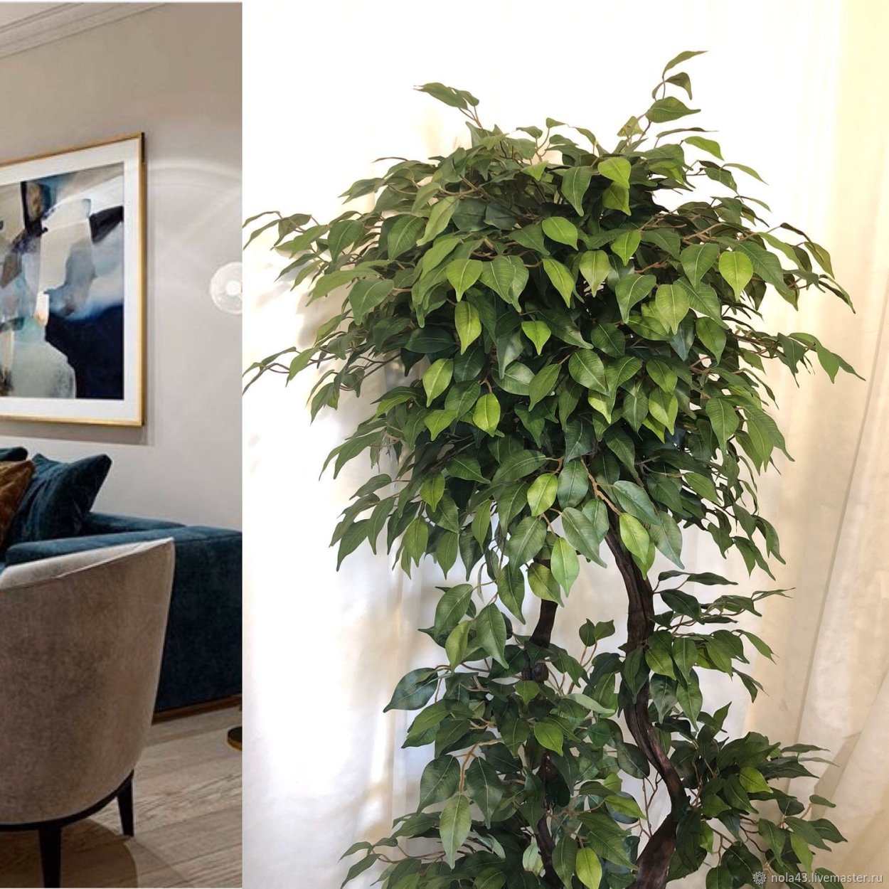 Фикус вариетис