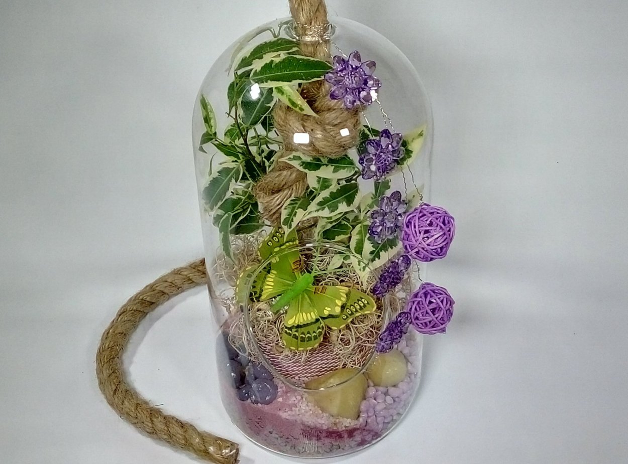 Орхидея во флорариуме