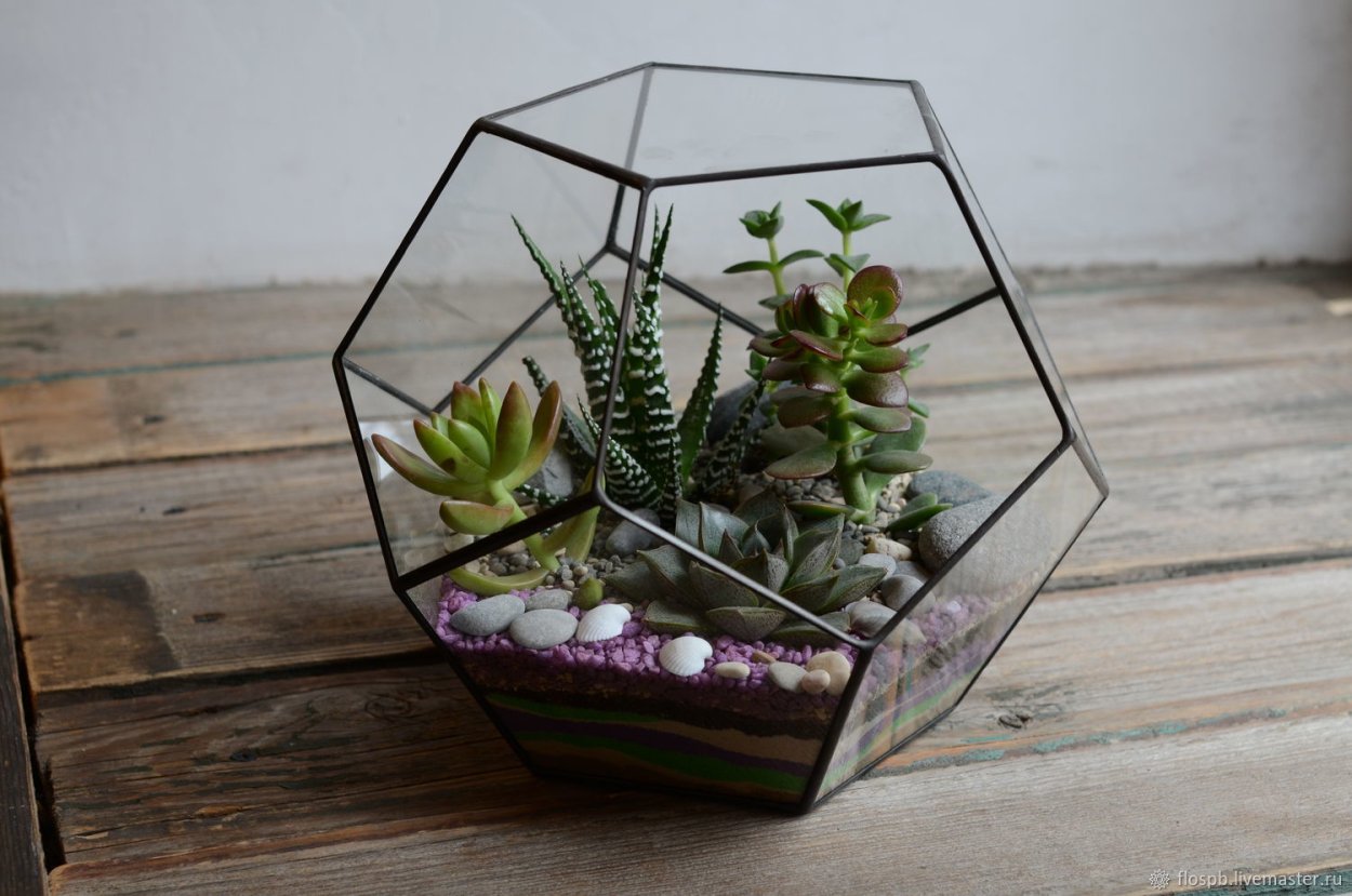 Севернсайд флорариум