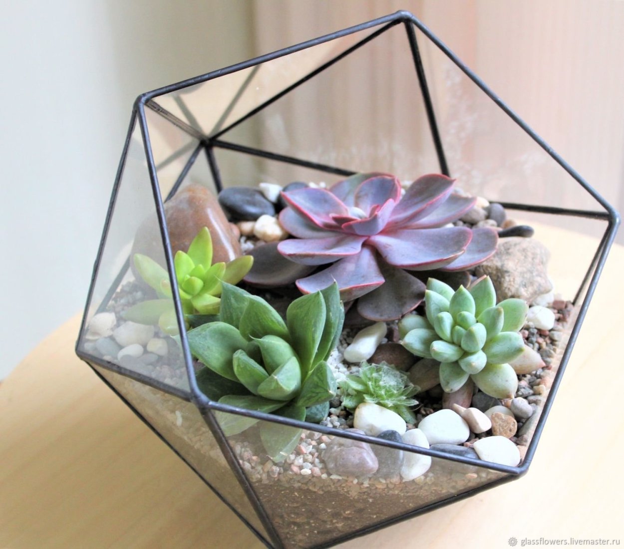 Фиттония Джонсон