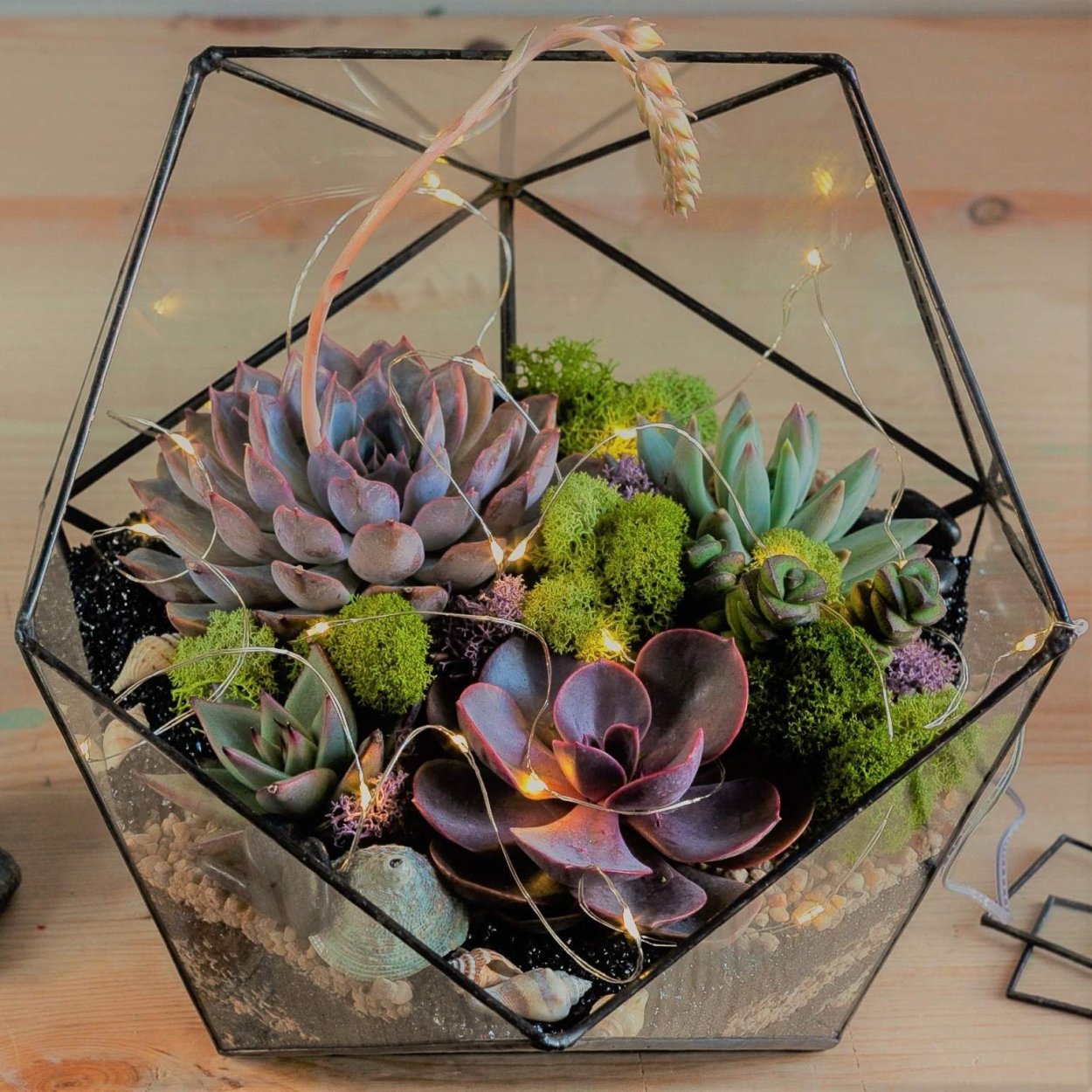 Флорариум Фаберже