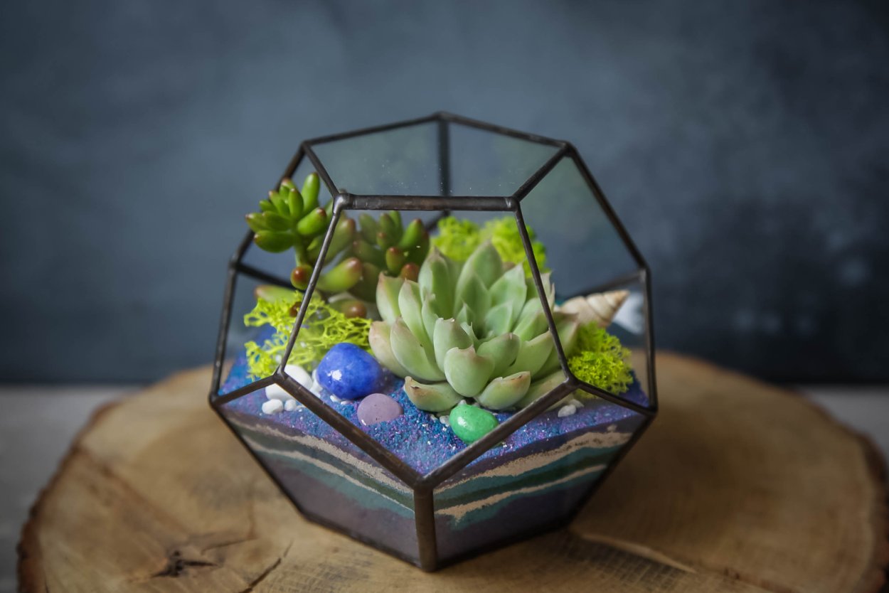 Флорариум с цикламеном