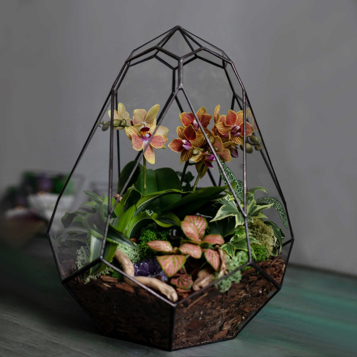 Флорариум дренаж