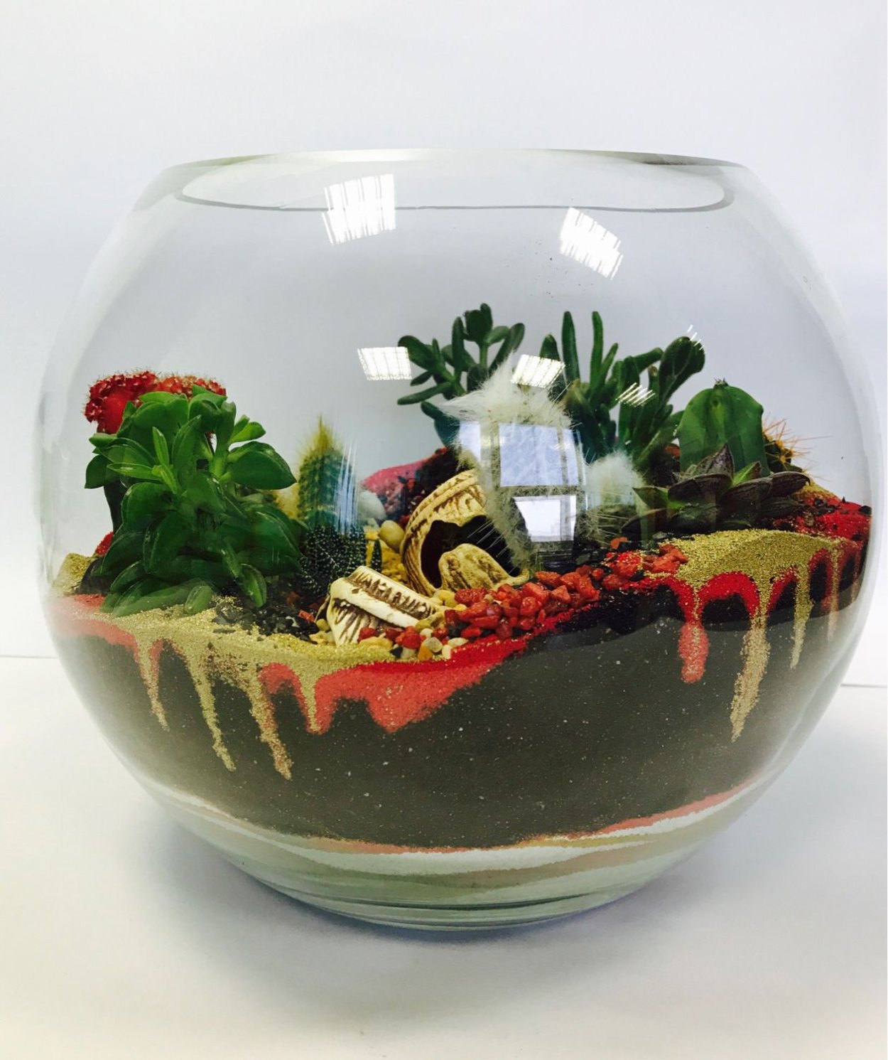 Флорариум Орхидея Ванда