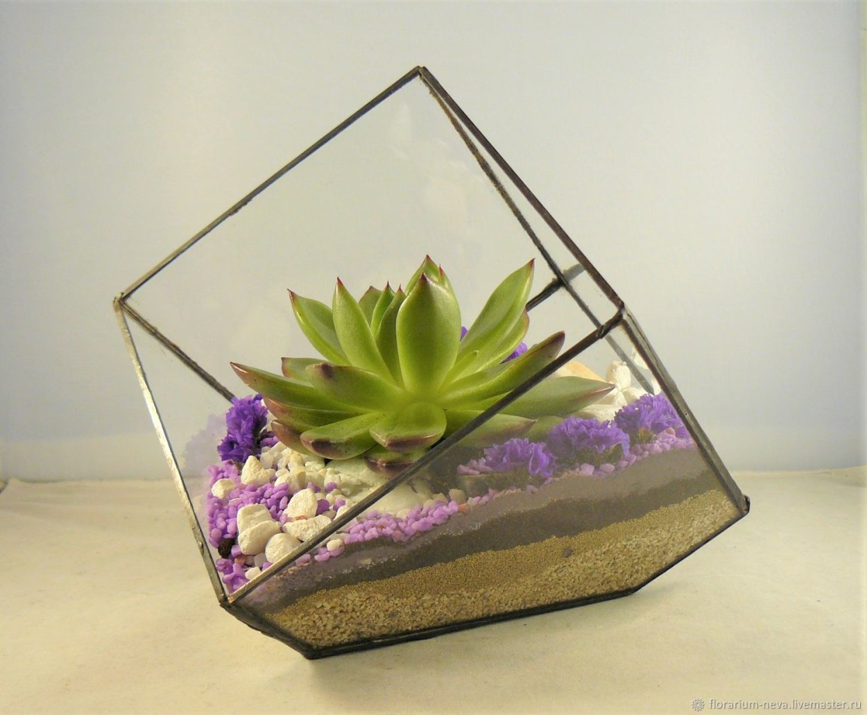 Фитофлорариум Суккуленты