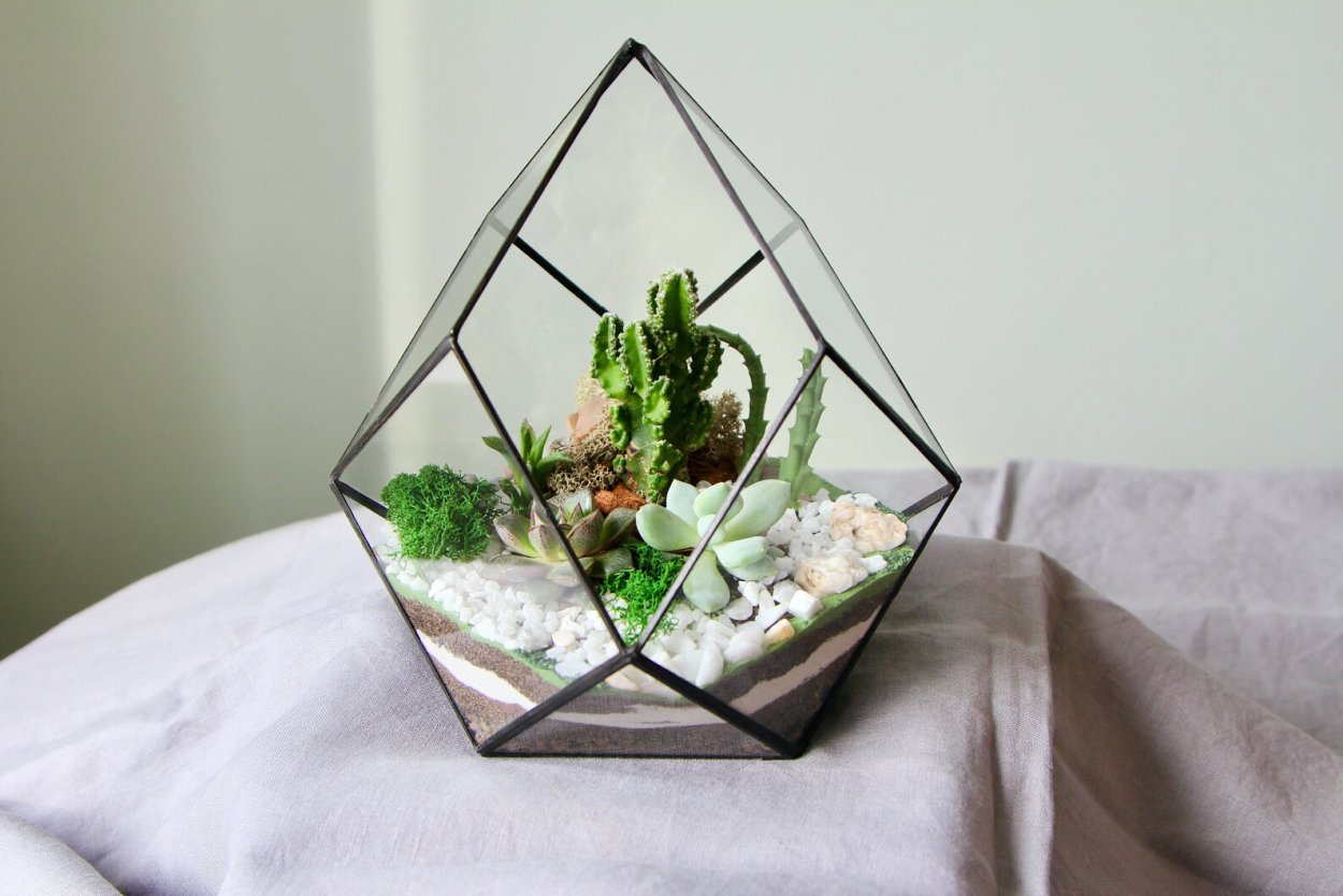 Флорариум сад орхидей