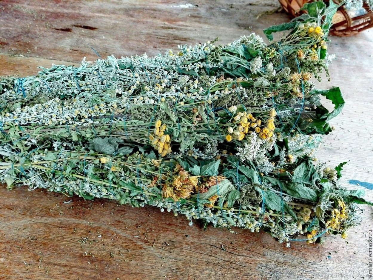 Чернобыльник трава окуривание