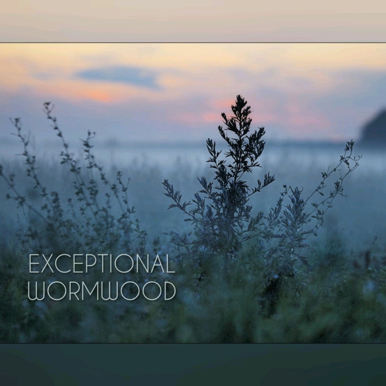 Горькая Полынь Эстетика